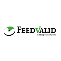 Logo FeedValid