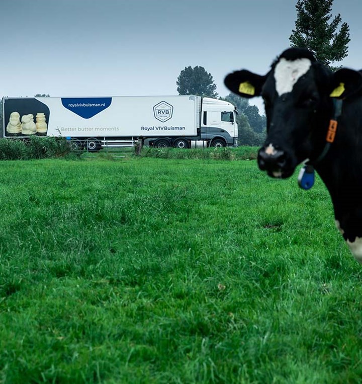 Koe op het gras met uitzicht op vrachtwagen van Van Ballegooijen Foods