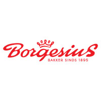 Logo Borgesius 